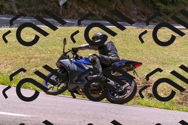 202508091152-_DSC6063_d1_