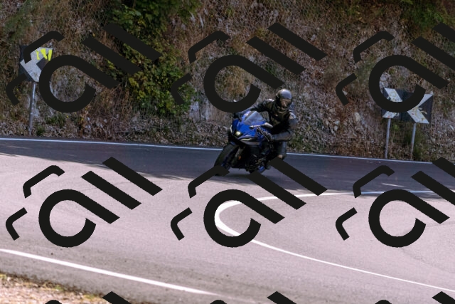 202508091153-_DSC6067_d1_