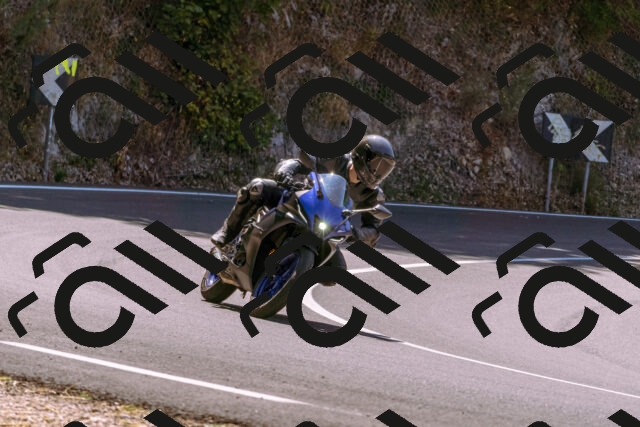 202508091153-_DSC6069_d1_