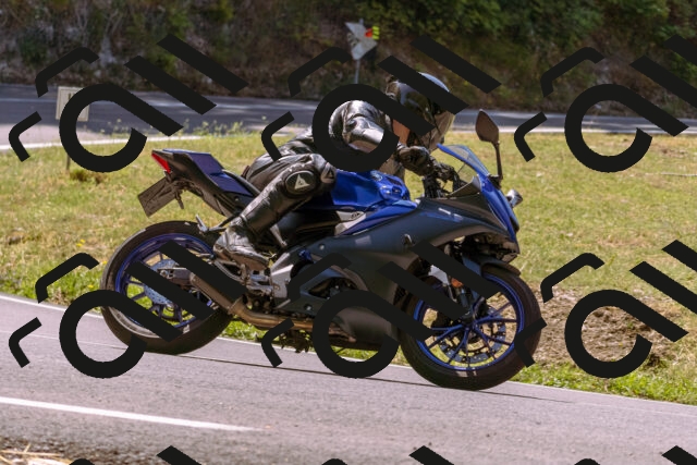 202508091153-_DSC6072_d1_