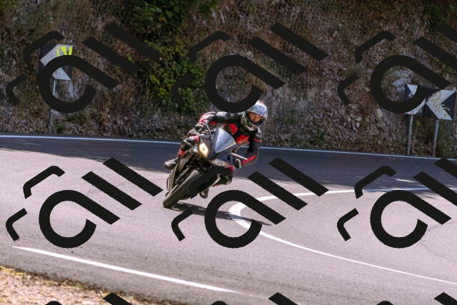 202508091154-_DSC6074_d1_