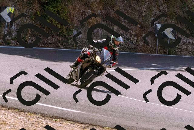 202508091154-_DSC6075_d1_