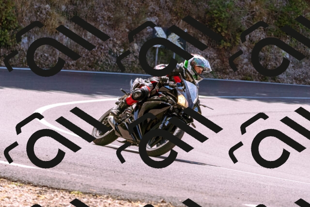 202508091154-_DSC6076_d1_