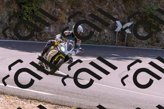 202508091155-_DSC6080_d1_