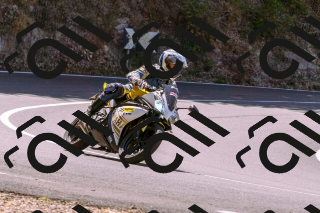 202508091155-_DSC6081_d1_