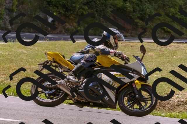 202508091155-_DSC6083_d1_