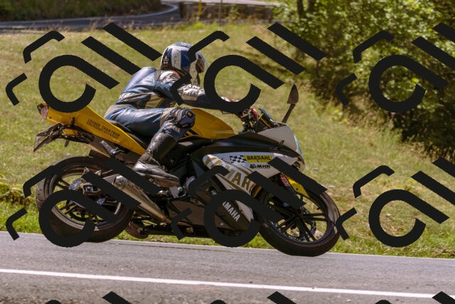 202508091155-_DSC6084_d1_