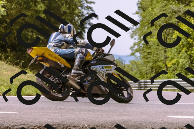 202508091155-_DSC6085_d1_