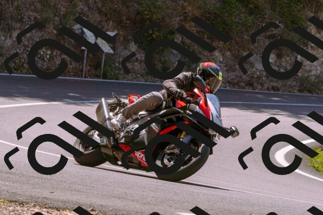 202508091158-_DSC6091_d1_