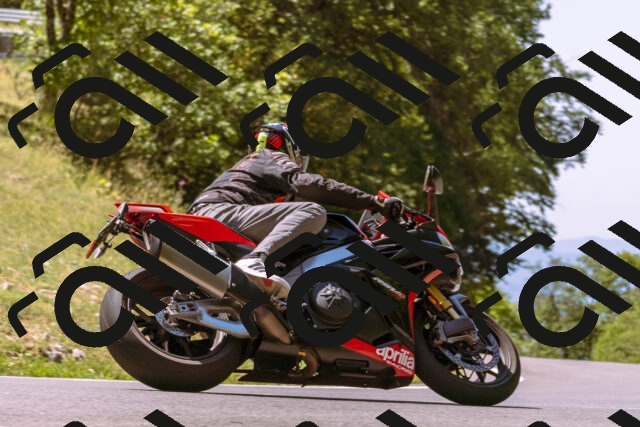 202508091158-_DSC6094_d1_