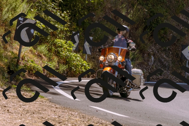 202508091158-_DSC6098_d1_