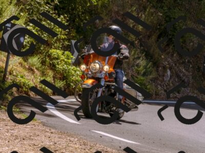 202508091158-_DSC6099_d1_