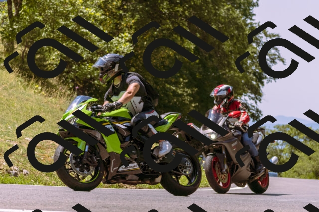 202508091203-_DSC6108_d1_