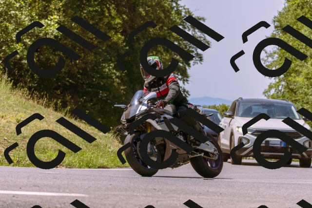 202508091203-_DSC6117_d1_