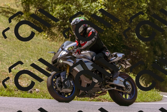 202508091203-_DSC6118_d1_