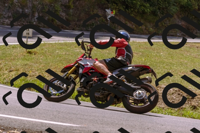 202508091208-_DSC6129_d1_