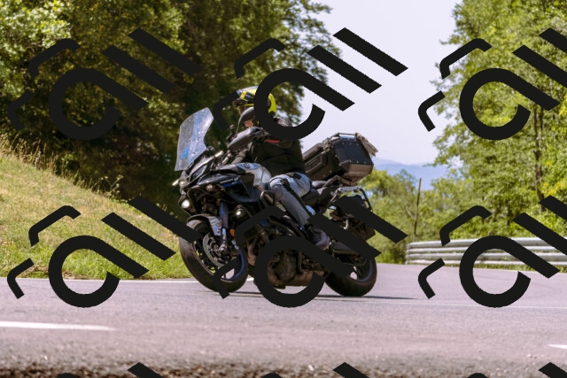 202508091208-_DSC6130_d1_