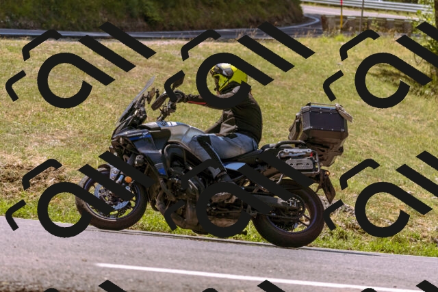 202508091208-_DSC6132_d1_