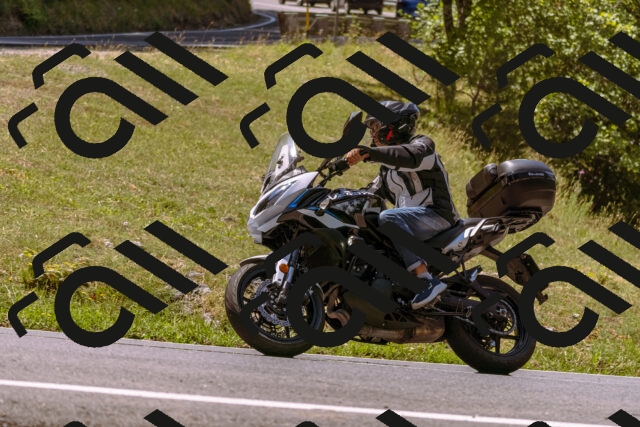 202508091208-_DSC6134_d1_