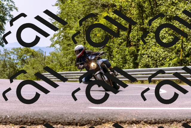 202508091209-_DSC6136_d1_