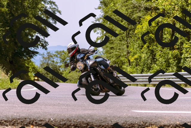 202508091209-_DSC6137_d1_