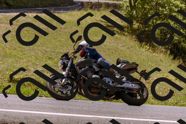 202508091209-_DSC6139_d1_