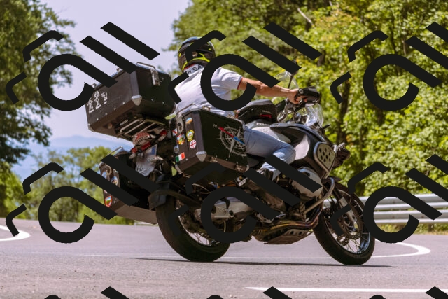 202508091209-_DSC6144_d1_