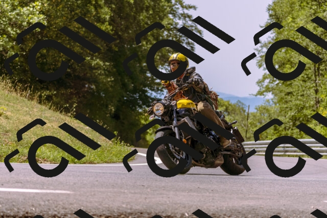 202508091209-_DSC6145_d1_