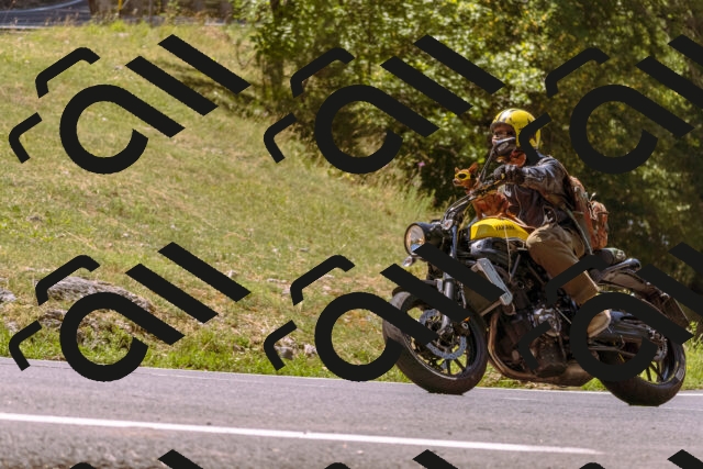 202508091209-_DSC6146_d1_