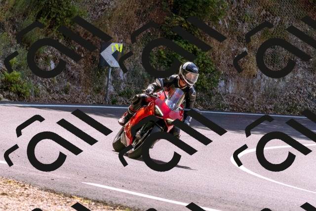 202508091210-_DSC6149_d1_