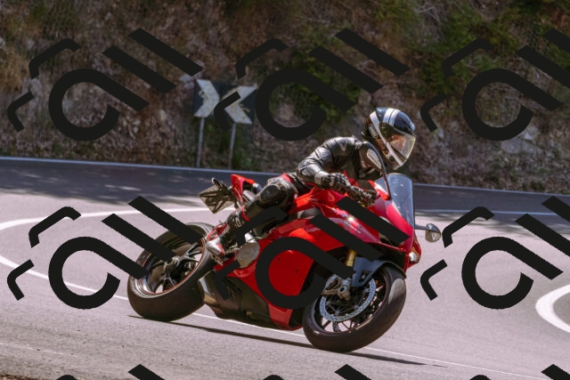 202508091210-_DSC6151_d1_