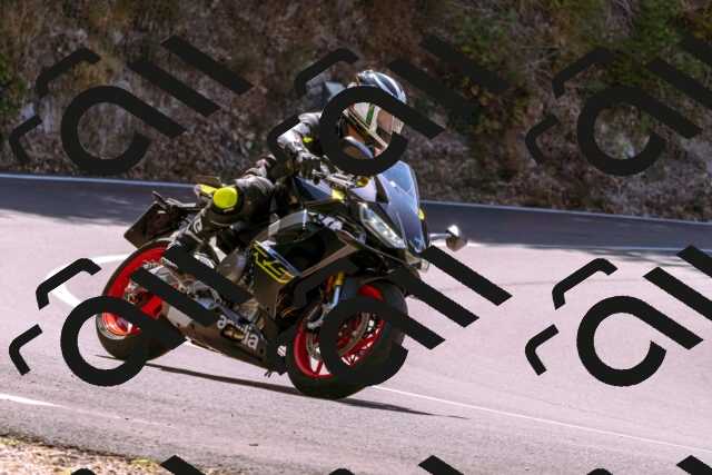 202508091210-_DSC6153_d1_