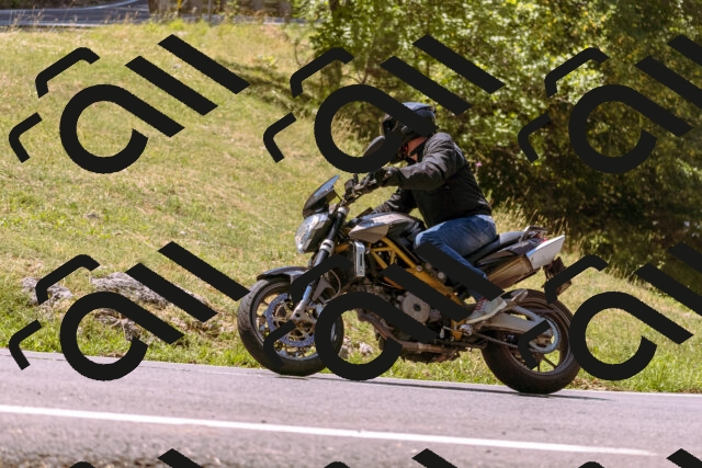 202508091210-_DSC6156_d1_