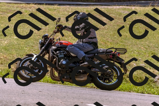 202508091210-_DSC6157_d1_