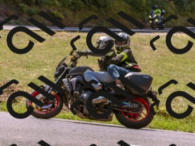 202508091211-_DSC6161_d1_