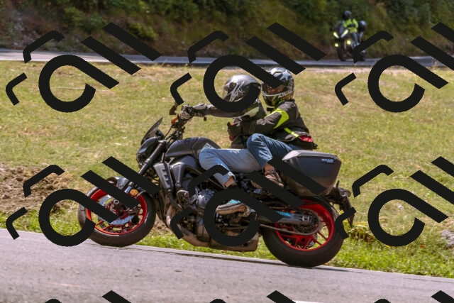 202508091211-_DSC6161_d1_