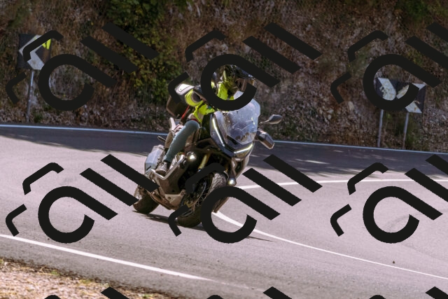 202508091211-_DSC6163_d1_