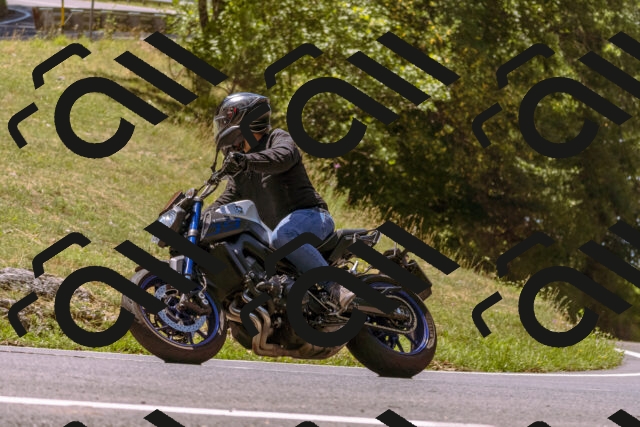 202508091213-_DSC6164_d1_