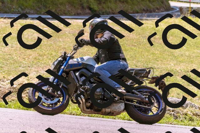 202508091213-_DSC6165_d1_