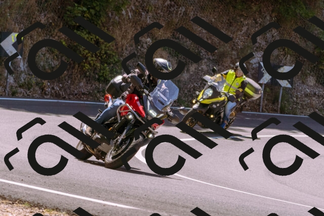 202508091215-_DSC6167_d1_