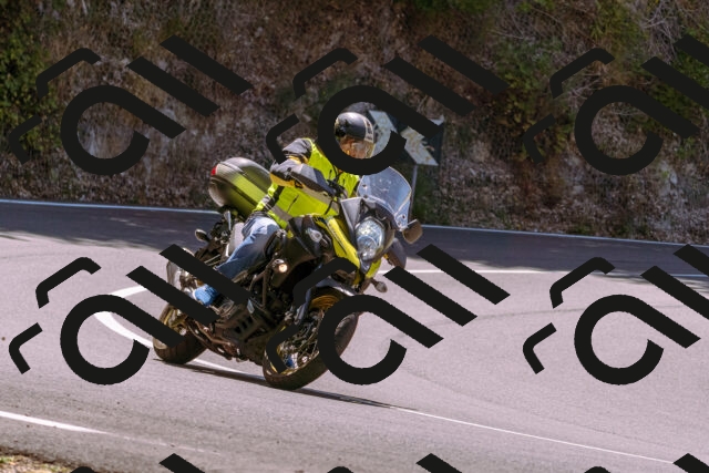 202508091215-_DSC6170_d1_