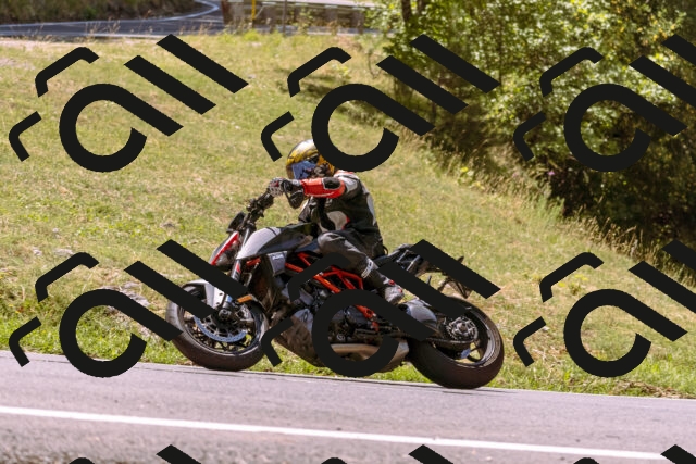 202508091216-_DSC6173_d1_