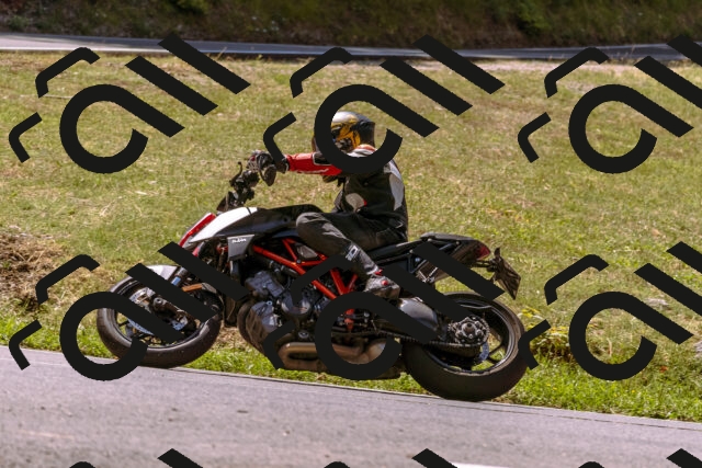 202508091216-_DSC6174_d1_