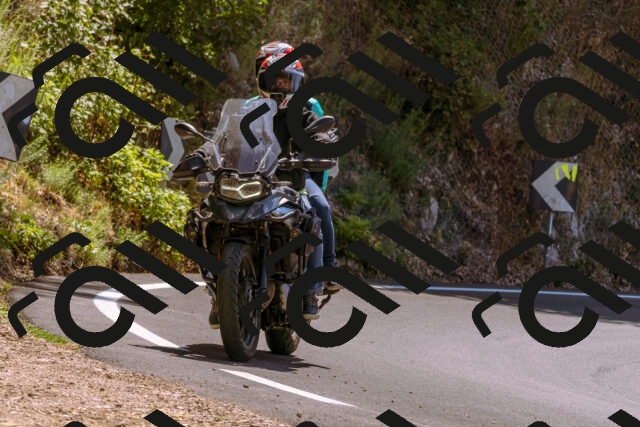 202508091217-_DSC6181_d1_