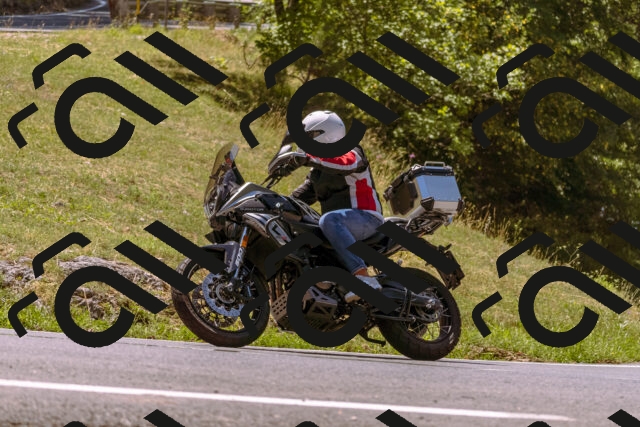 202508091225-_DSC6197_d1_