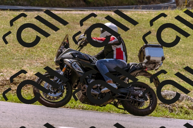 202508091225-_DSC6198_d1_