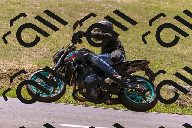 202508091228-_DSC6210_d1_