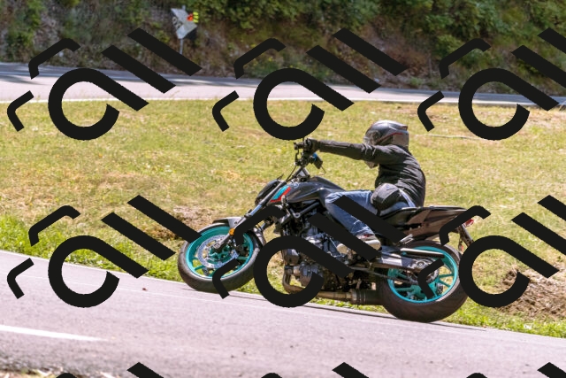 202508091228-_DSC6211_d1_