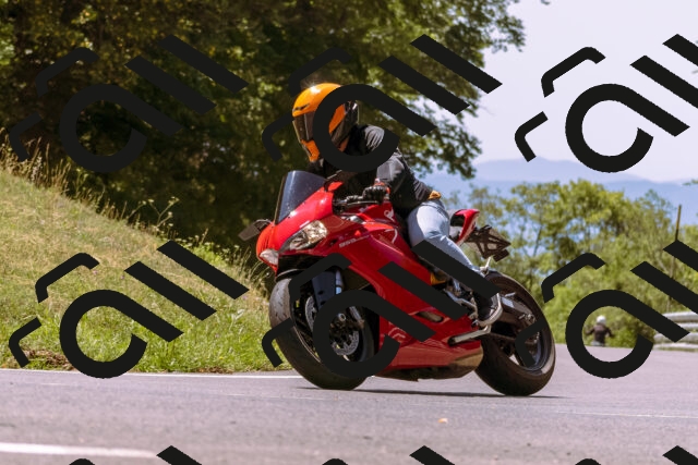 202508091228-_DSC6213_d1_