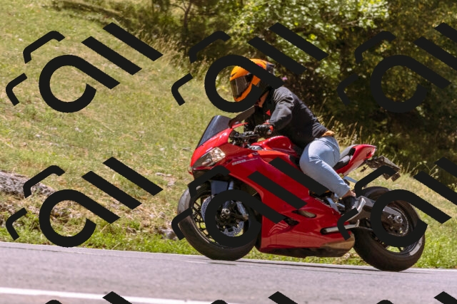 202508091228-_DSC6214_d1_